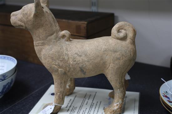 A Chinese Sichuan pottery model of a standing dog standing, Han dynasty (206BC - 220AD), L.33cm H.32.5cm